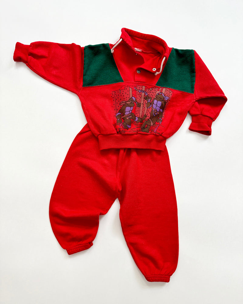 Vintage Turtles Sweat Suit