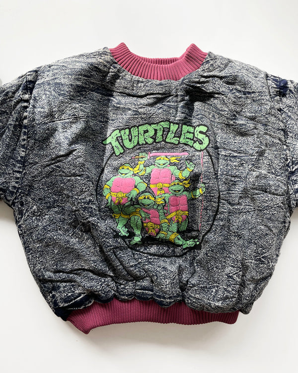 Vintage Turtles Sweat Suit