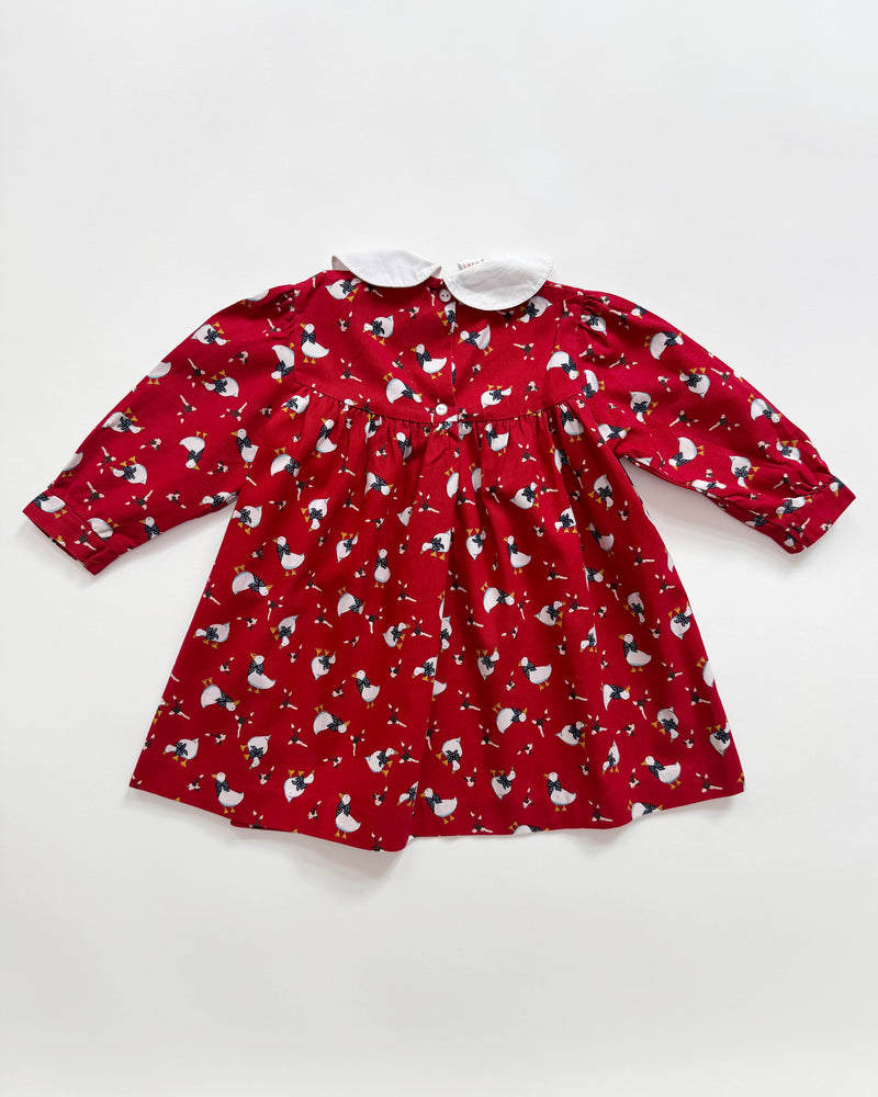 Goose Cotton Dress With Embroidered Collar 24M