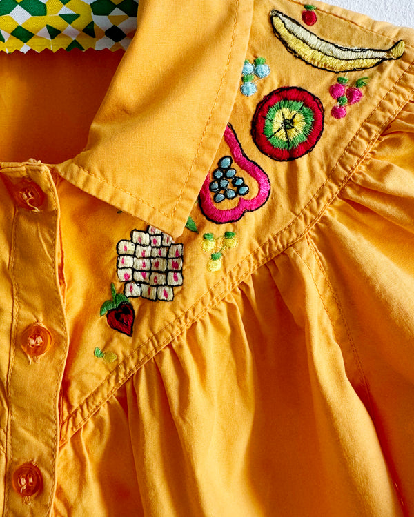 Vintage Embroidered Fruit Cropped Blouse