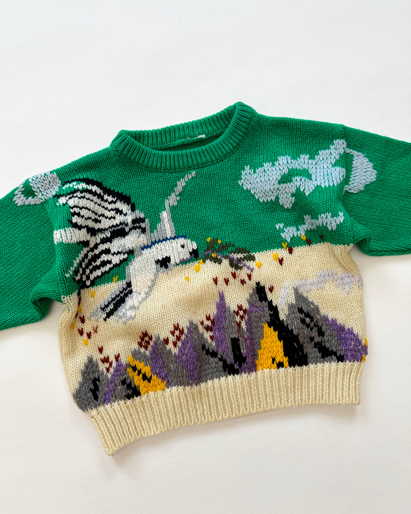 Handmade Parrot Sweater