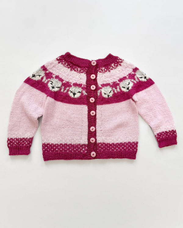 Handmade Alpaca Sweater 3Y