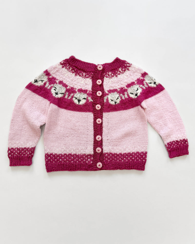 Handmade Alpaca Sweater 3Y