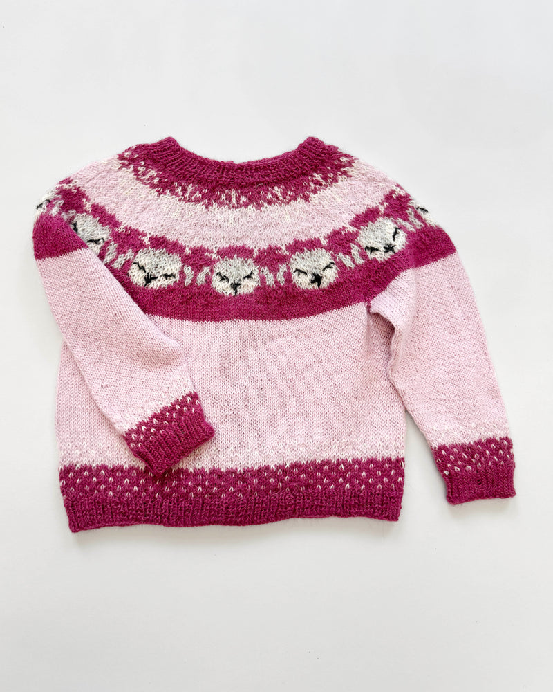 Handmade Alpaca Sweater 3Y