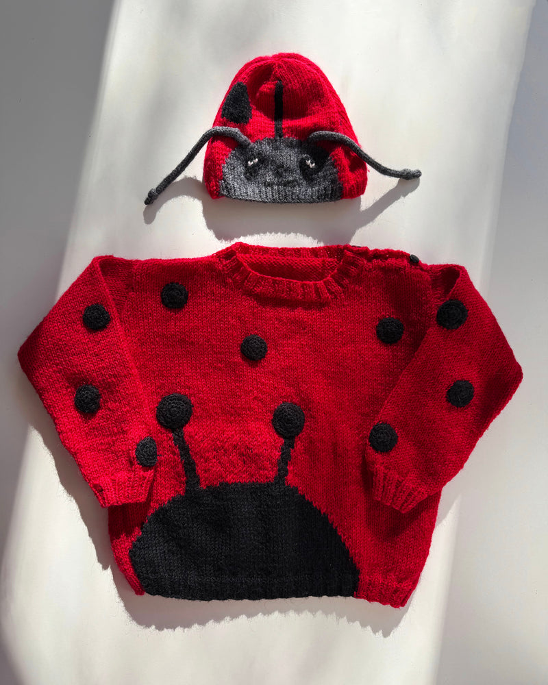 Handmade Butterfly Wool Sweater & Matching Hat