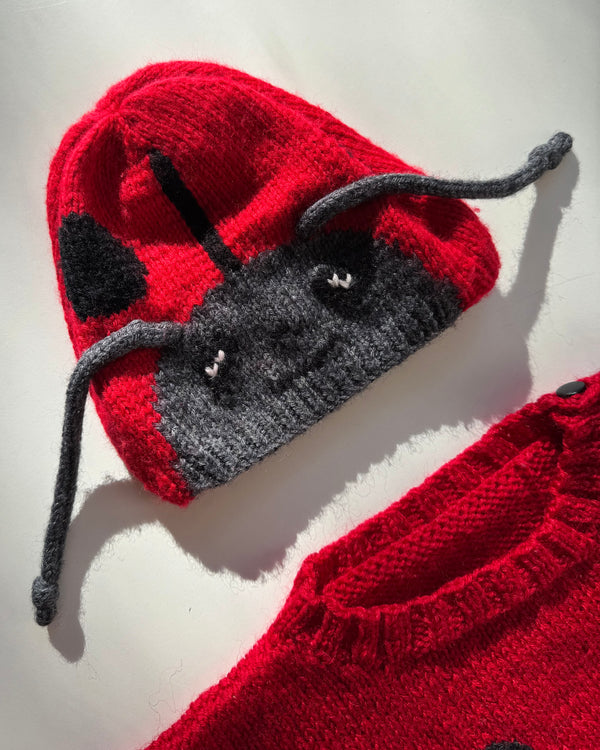 Handmade Butterfly Wool Sweater & Matching Hat