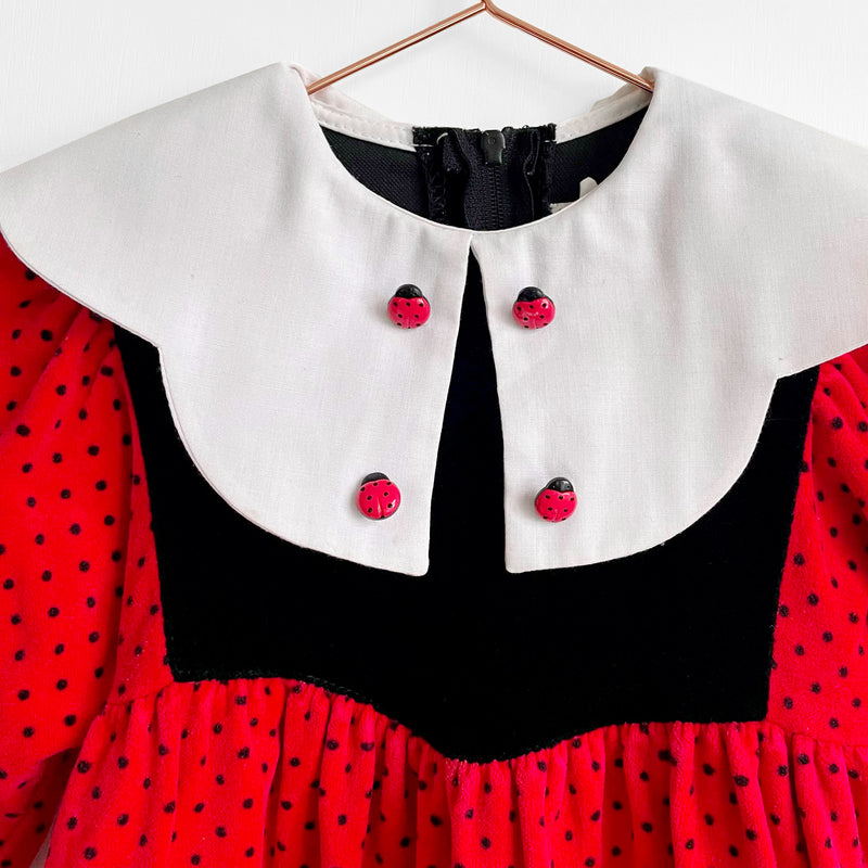 Vintage Velvet Ladybug Dress
